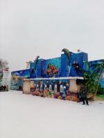 Ледовый городок (Россия, Новосибирск) фото