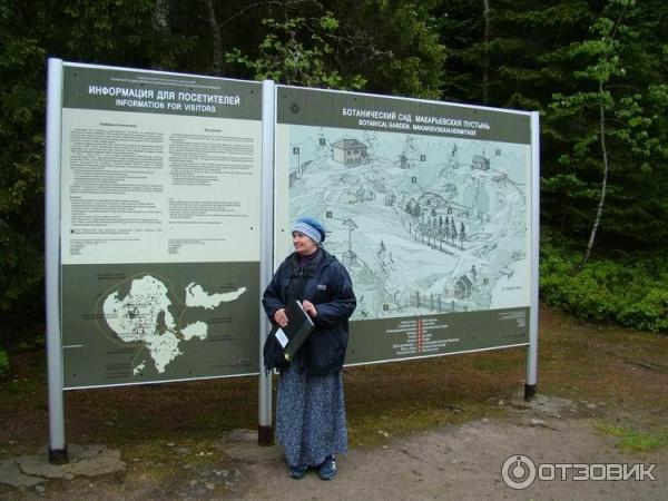 Ботанический сад Соловецких Островов (Россия, Архангельская область) фото