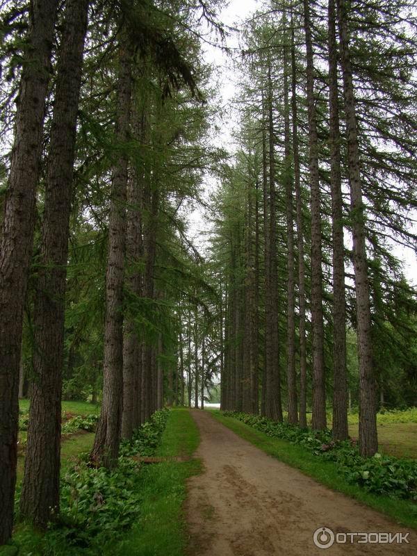 Ботанический сад Соловецких Островов (Россия, Архангельская область) фото