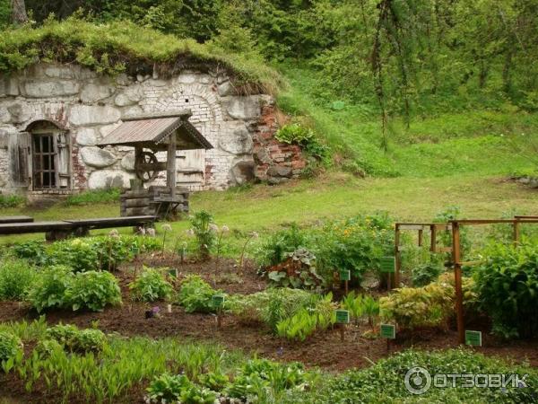 Ботанический сад Соловецких Островов (Россия, Архангельская область) фото