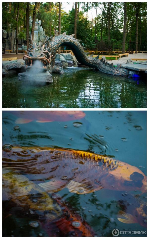 Сафари Парк Краснодар Цена