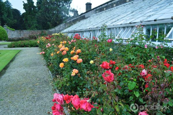 Паруэрскорт, Ирландия (Powerscourt Estate)