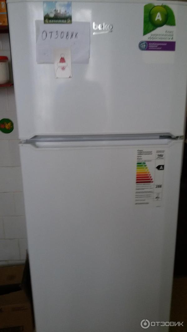 Холодильник beko 325000. Холодильник beko cs 338020 s. Холодильник beko bs 325000s. Холодильник svar sv 325 nfi. Холодильник 2-камерн top-freezer tmr-1441w.