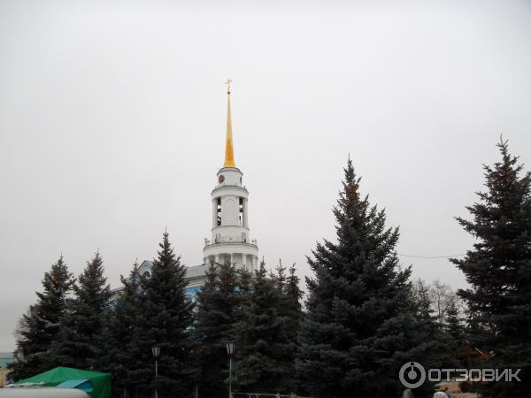 ели