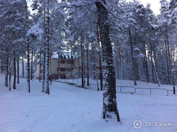 База отдыха Орехово (Россия, Ленинградская область)