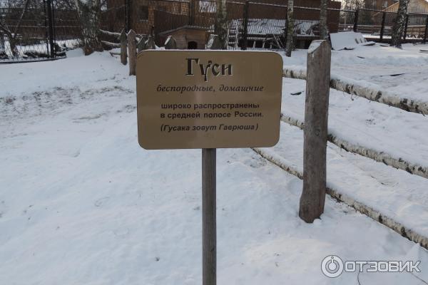Музей деревянного зодчества (Россия, Суздаль)