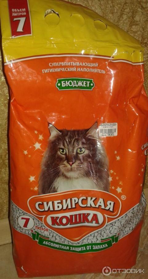 Кошачий туалет сибирская кошка