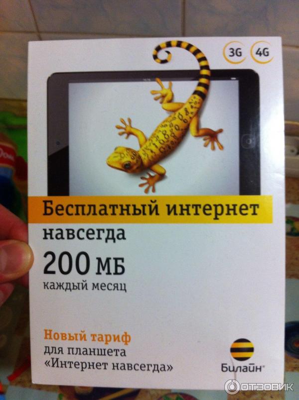 Безлимитный интернет навсегда. Рекламные листовки Билайн. Флаер Билайн. Листовка интернет Билайн. Интернет навсегда.