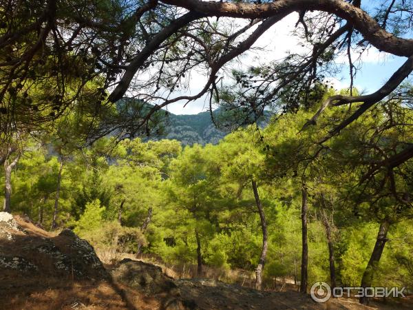 Отдых в поселке Текирова (Турция) фото