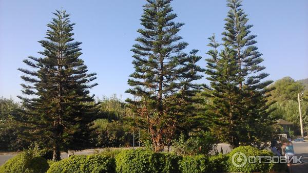 Отдых в поселке Текирова (Турция) фото