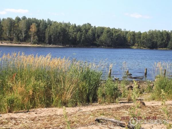 Экскурсия по городу Высоцк (Россия, Ленинградская область) фото