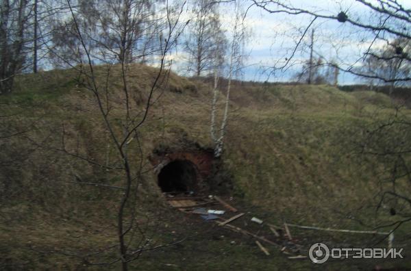 Экскурсия по городу Высоцк (Россия, Ленинградская область) фото