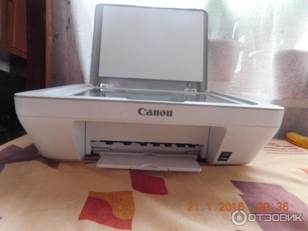 Струйное МФУ Canon MG2440 фото