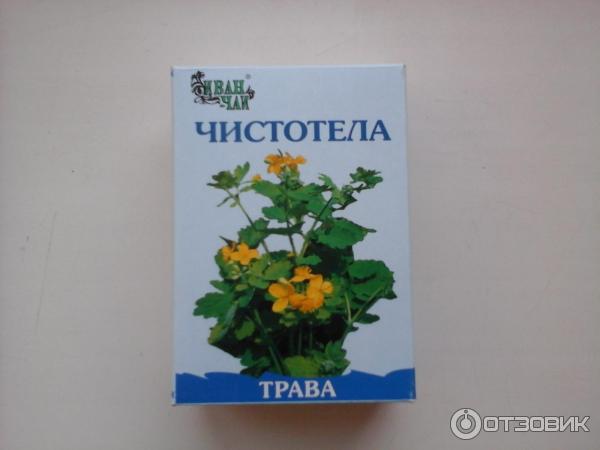 Седативные травы для купания новорожденных. Чистотел трава для купания новорожденных. Чистотела для купания младенцев. Горный чистотел. Травки для купания новорожденных.