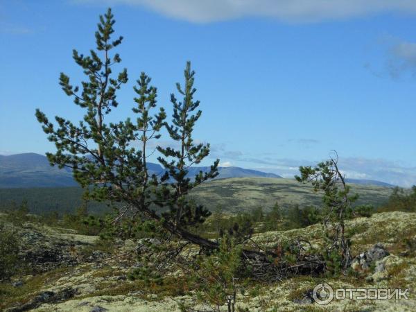 Велопоход Кандалакша-Оленегорск через Хибины фото