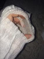 Подгузники-трусики Moony для девочек фото