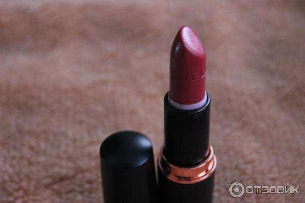 Stellary bc губная помада т02 4г. Stellary matte lipstick 09. Помада дикий шиповник стеллари. Стеллари устойчивая помада w50. Стеллари помада тон 11.