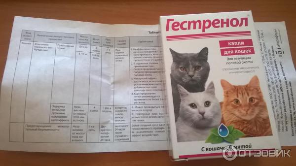 Гестренол Для Кошек Капли Цена