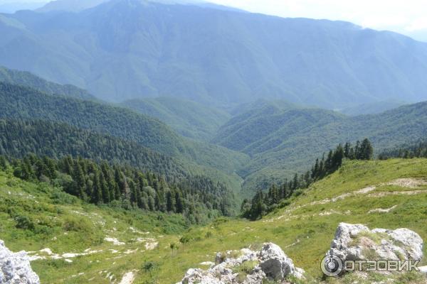 Экскурсия на Альпийские луга (Абхазия, Гудаутский район) фото