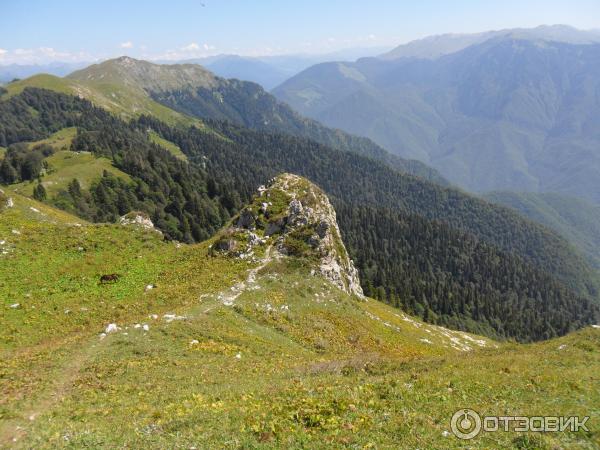 Экскурсия на Альпийские луга (Абхазия, Гудаутский район) фото