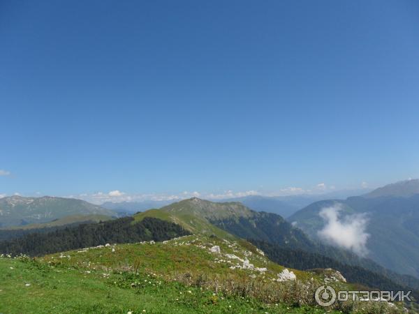 Экскурсия на Альпийские луга (Абхазия, Гудаутский район) фото