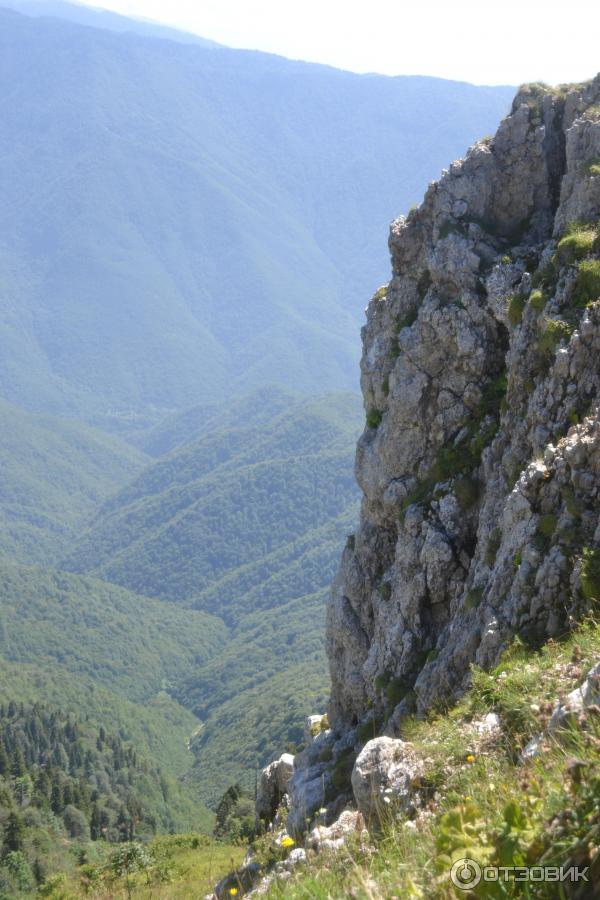 Экскурсия на Альпийские луга (Абхазия, Гудаутский район) фото