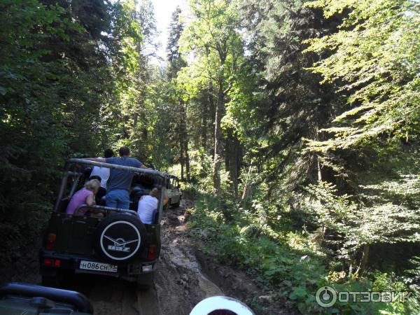 Экскурсия на Альпийские луга (Абхазия, Гудаутский район) фото