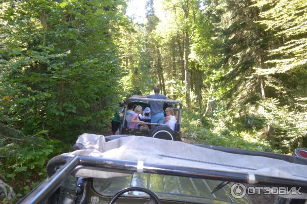 Экскурсия на Альпийские луга (Абхазия, Гудаутский район) фото