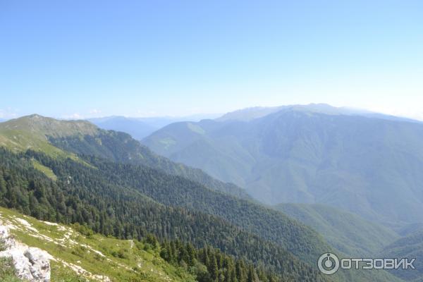 Экскурсия на Альпийские луга (Абхазия, Гудаутский район) фото