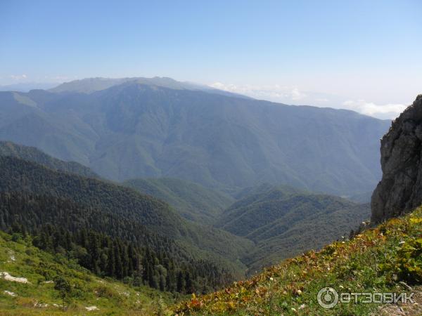 Экскурсия на Альпийские луга (Абхазия, Гудаутский район) фото