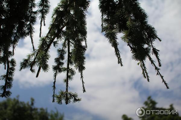 Экскурсия в университетский ботанический сад (Болгария, Балчик) фото