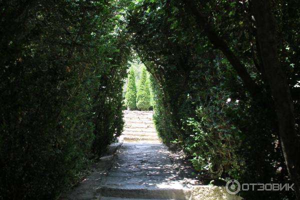 Экскурсия в университетский ботанический сад (Болгария, Балчик) фото