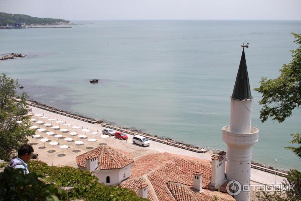 Экскурсия в университетский ботанический сад (Болгария, Балчик) фото