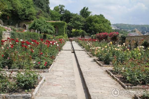 Экскурсия в университетский ботанический сад (Болгария, Балчик) фото