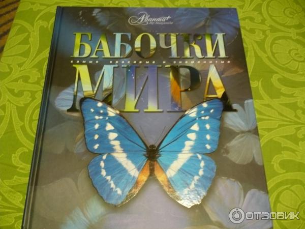 Книга Бабочки мира: самые красивые и знаменитые - Издательство Аванта + Астрель фото