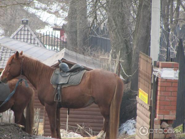 Рождества Богородицы Свято-Пафнутьев Мужской Монастырь (Россия, Боровск) фото