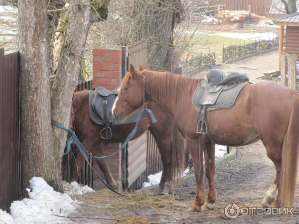 Рождества Богородицы Свято-Пафнутьев Мужской Монастырь (Россия, Боровск) фото