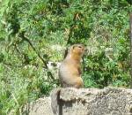 Бухтарминское водохранилище (Казахстан, Восточно-Казахстанская область) фото