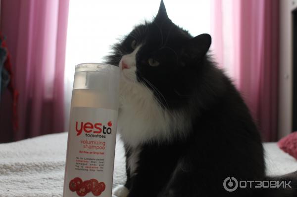 Шампунь для увеличения объема волос Yes To Tomatoes Volumizing Shampoo фото