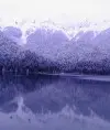 Путешествующая