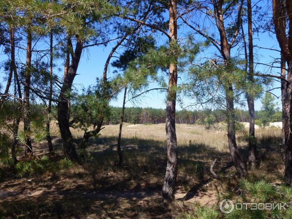 Отдых на Голубых озерах (Украина, Светловодск) фото