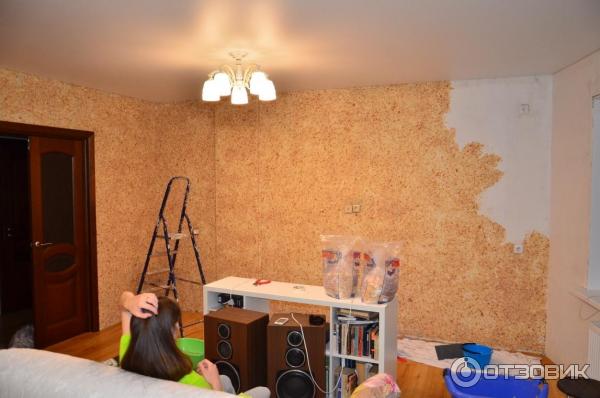 Отзыв о Жидкие обои Silk Plaster Впечатления, опыт применения, советы и пожелани