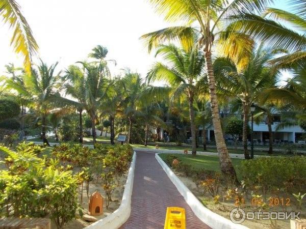 Отель Occidental Grand Punta Cana 4* (Доминикана, Пунта Кана) фото