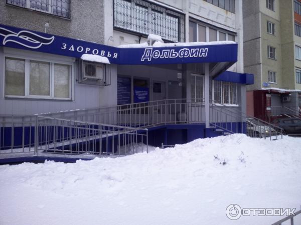Дельфин просп музрукова 45 фото