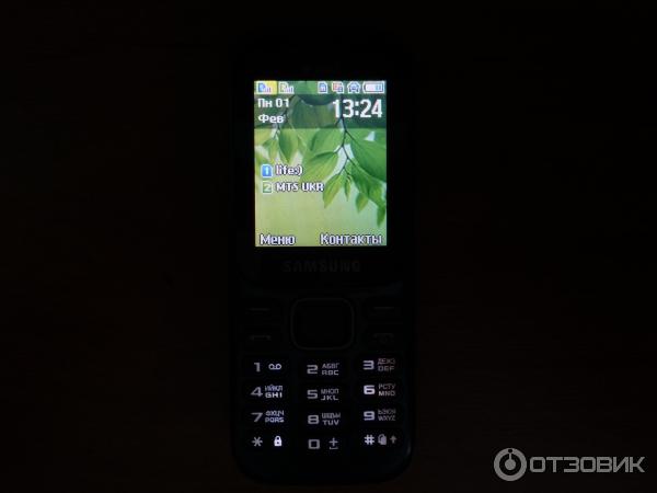 Мобильный телефон Samsung B310E Duos Blue фото