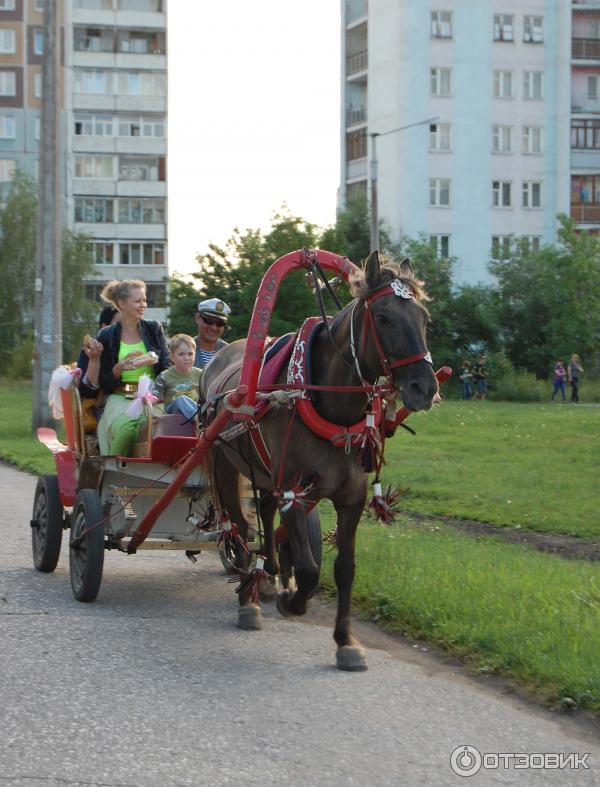 Город Новокузнецк (Россия, Кемеровская область) фото