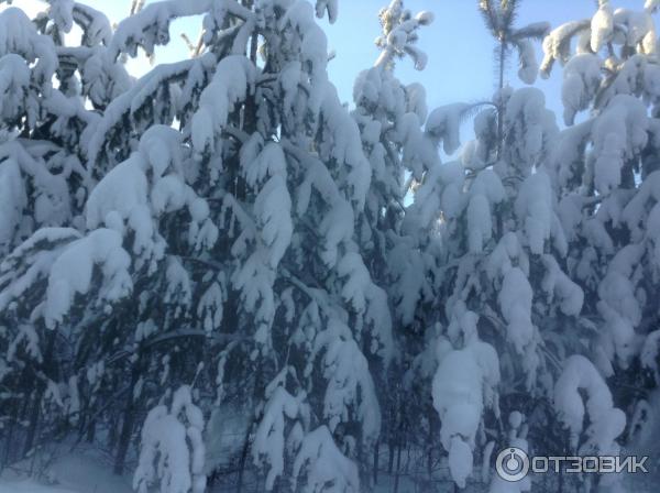 База отдыха Баден-Баден Лесная сказка (Россия, с. Еткуль) фото