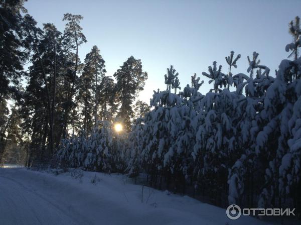 База отдыха Баден-Баден Лесная сказка (Россия, с. Еткуль) фото