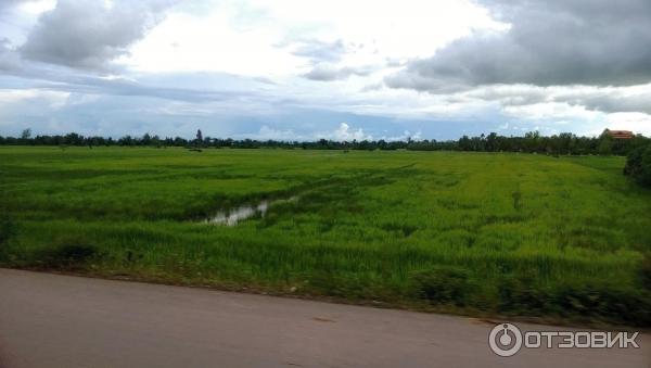 Сием Рип и Ангкор Ват (Камбоджа) фото