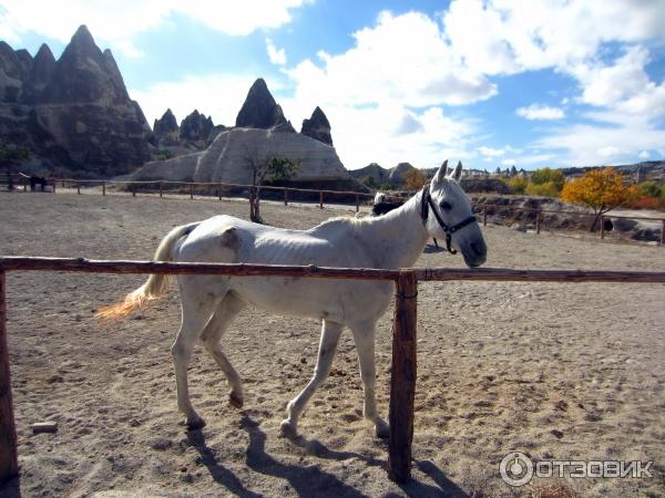 Отдых в г. Гериме (Турция) фото